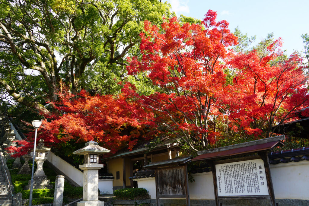 防府天満宮芳松庵の紅葉