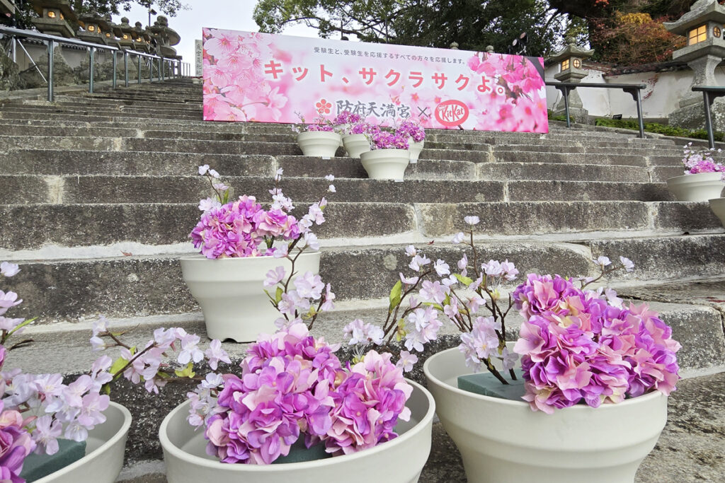 防府天満宮とキットカットコラボ花回廊