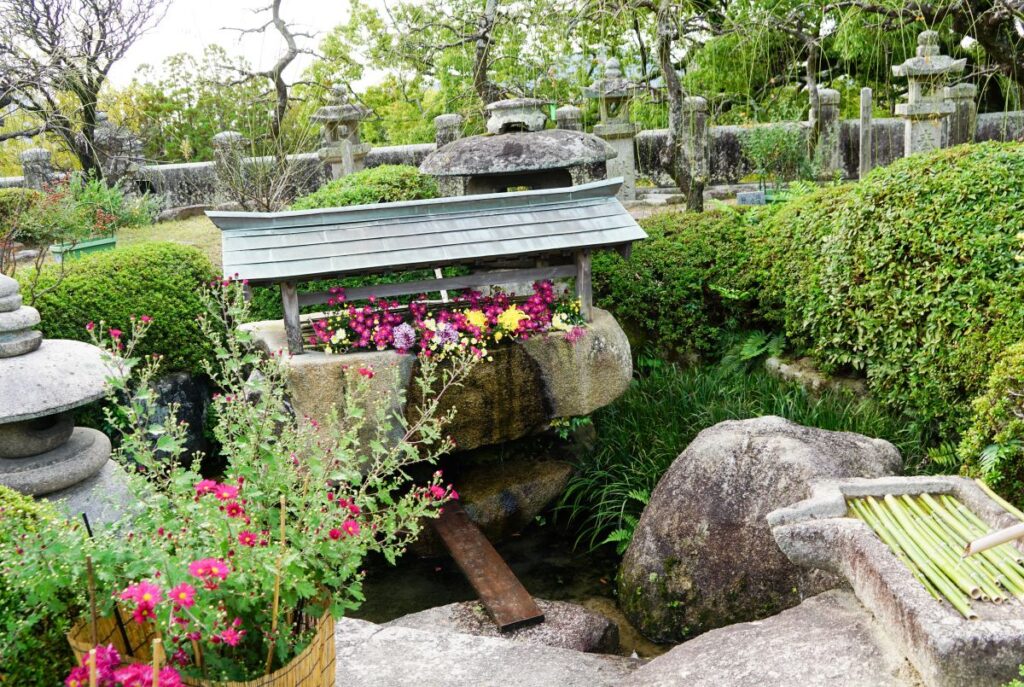 防府天満宮菊花展