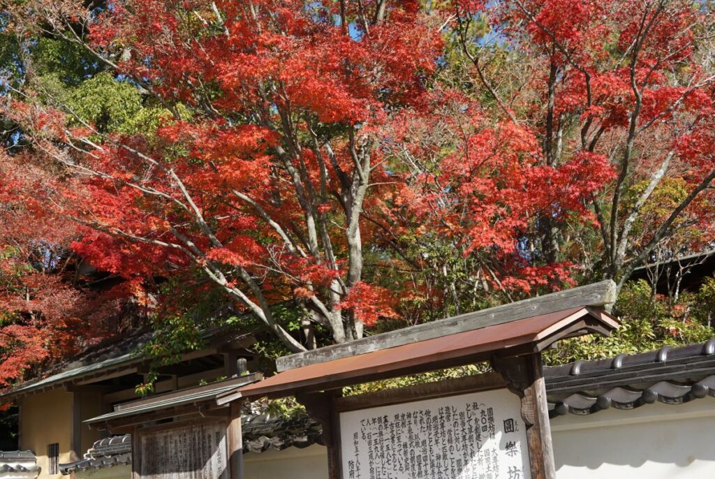 防府天満宮芳松庵の紅葉