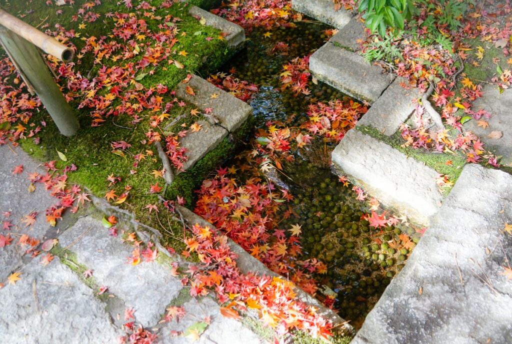 防府天満宮芳松庵の紅葉