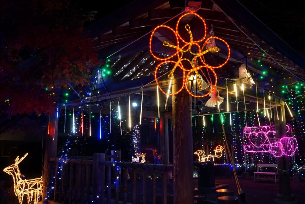 あずまやのイルミネーション