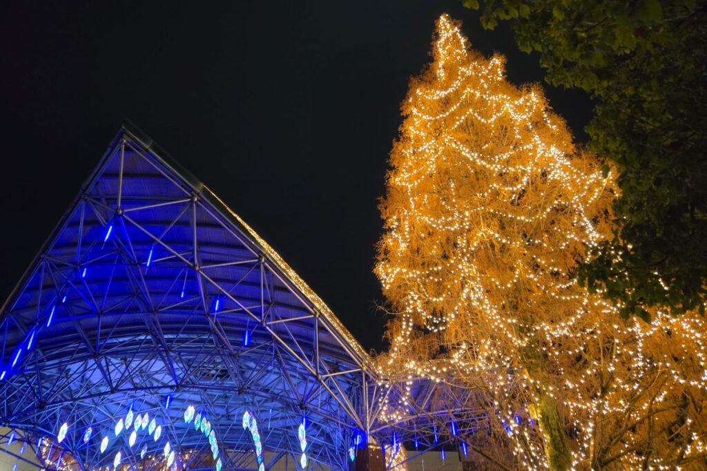 駅周辺のイルミネーション
