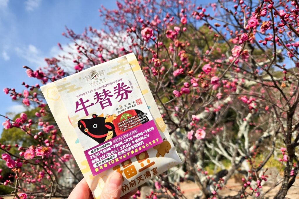 防府天満宮の梅