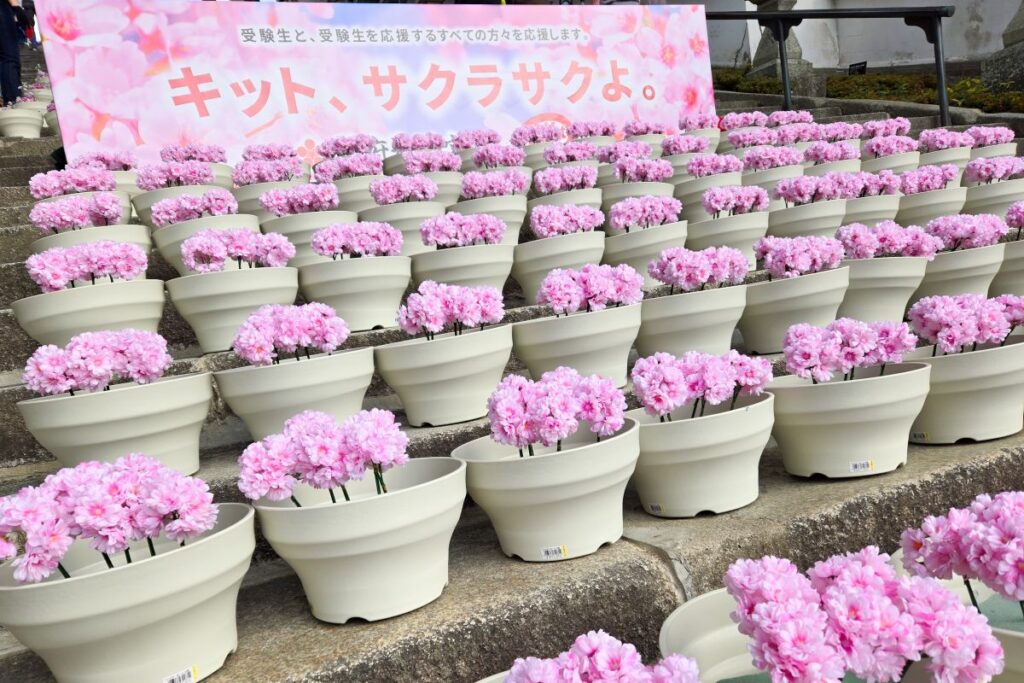 防府天満宮大石段花回廊