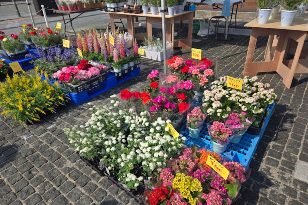 うめてらすネットワークハートマルシェの様子