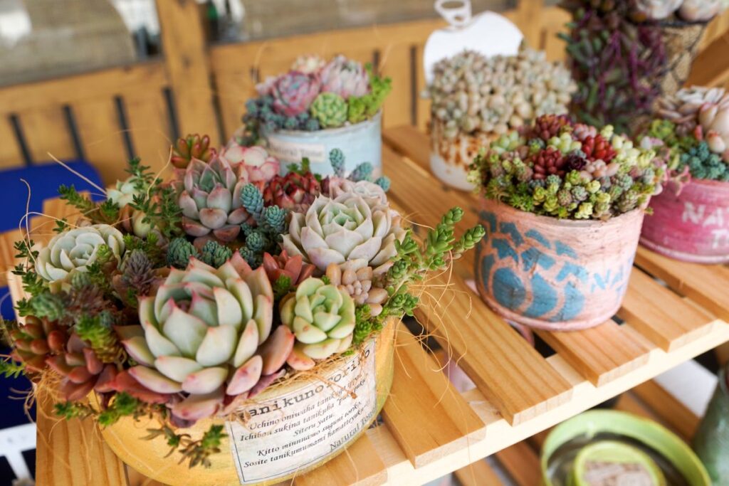 春のミニマルシェの出店