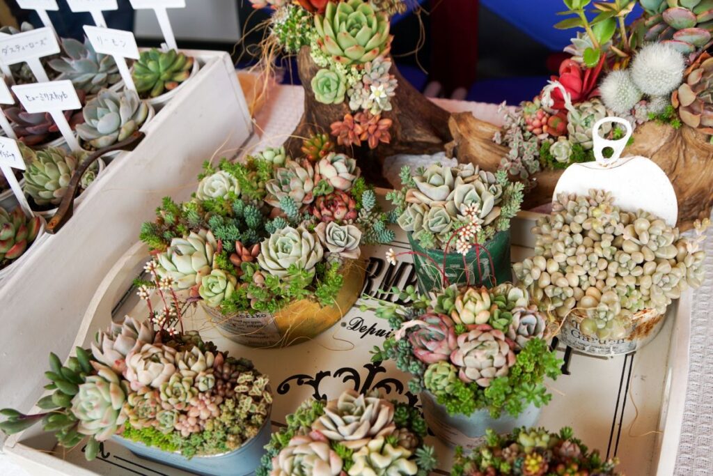 春のミニマルシェの出店