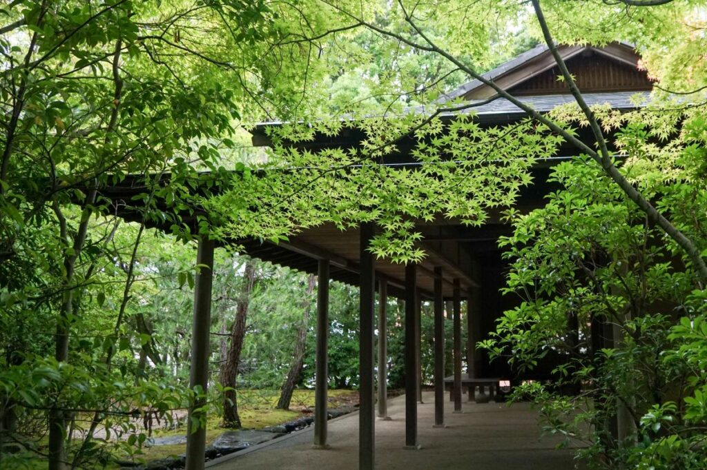 芳松庵の新緑