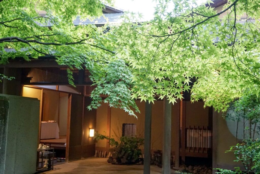 芳松庵の新緑