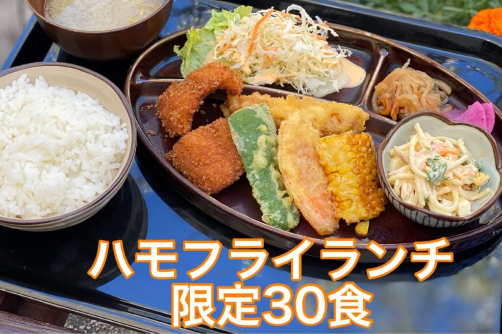 鱧フライランチ