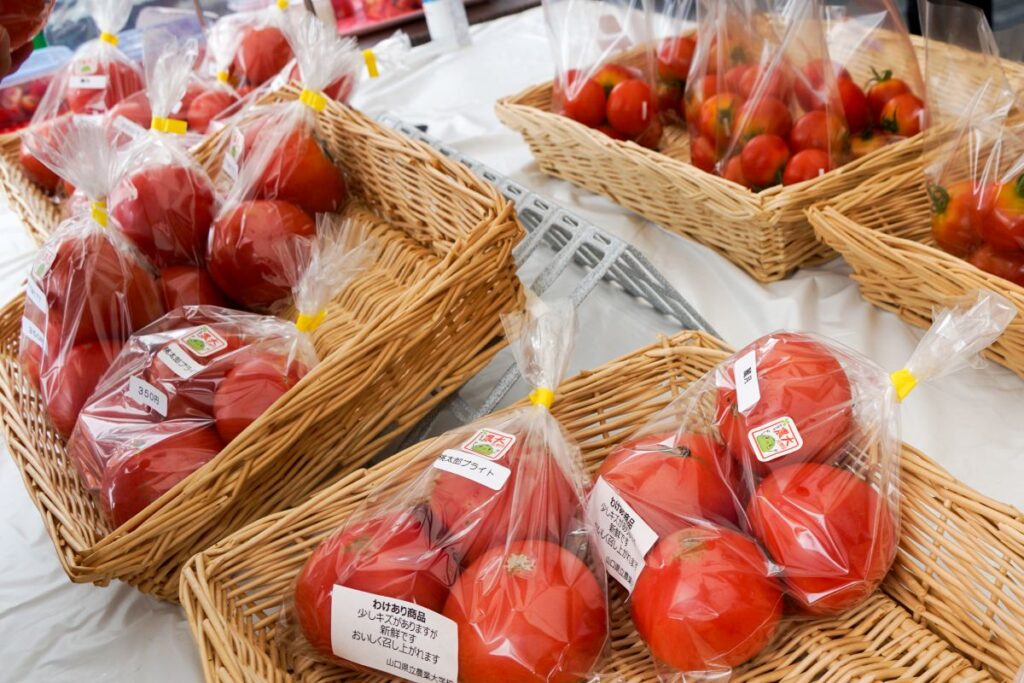 農大販売実習の様子