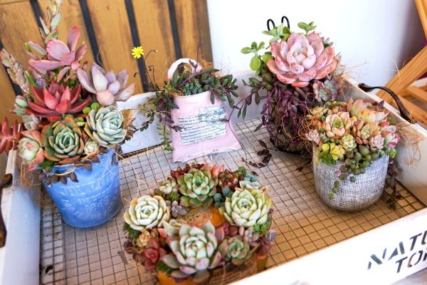 ミニマルシェの出店者