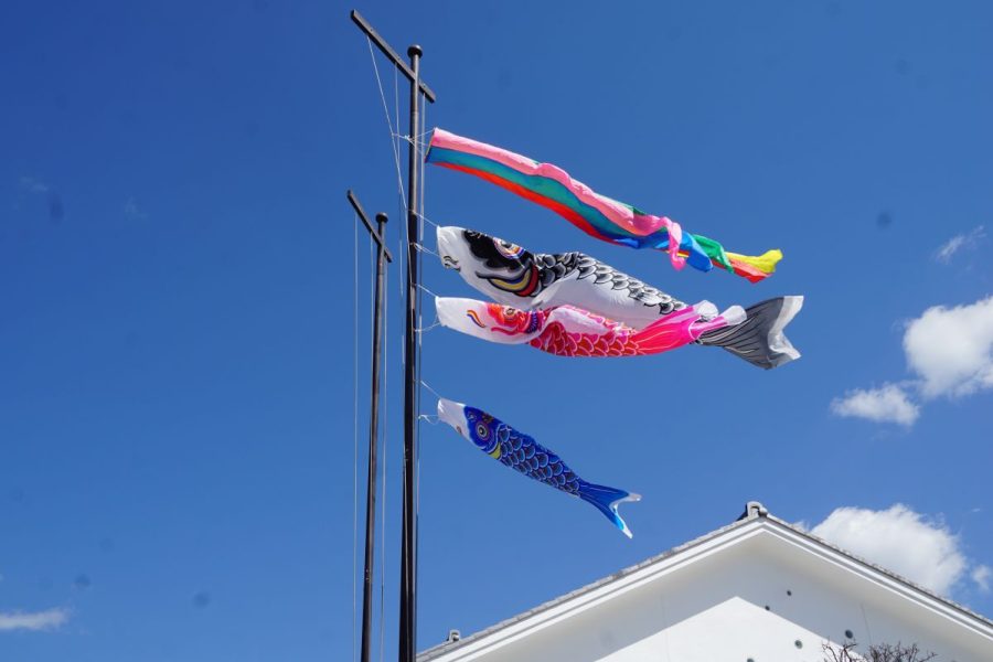 鯉のぼり