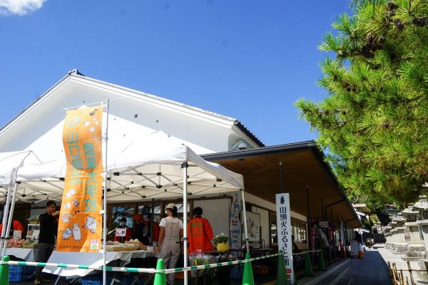農大販売実習の様子