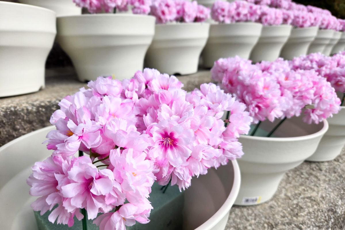 防府天満宮大石段花回廊