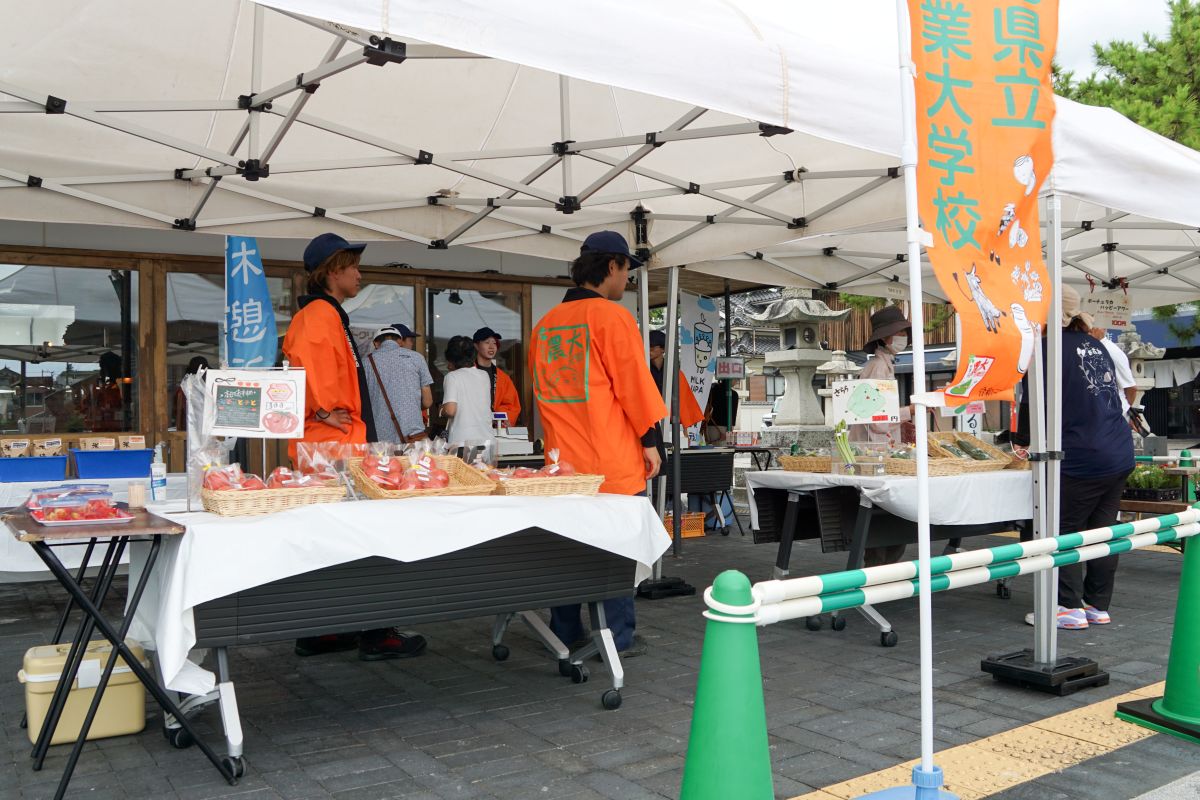 農大販売実習の様子